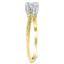 The Zanetti Ring, smalltop view on a hand