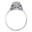The Lilly Ring, smallside view