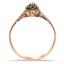 The Nenet Ring, smallside view