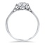 The Manasa Ring, smallside view