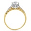 The Hadria Ring, smallside view