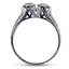 The Duet Ring, smallside view