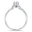 The Leota Ring, smallside view