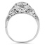 The Vea Ring, smallside view