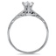 The Tempietta Ring, smallside view