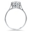 The Klein Ring, smallside view