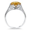 The Nadie Ring, smallside view
