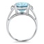 The Baden Ring, smallside view
