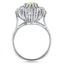 The Belmont Ring, smallside view