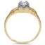The Verwood Ring, smallside view