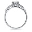 The Mercedes Ring, smallside view