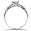The Joel Ring, smallside view