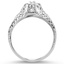 The Lincoln Ring, smallside view