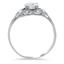 The Bedelia Ring, smallside view