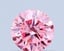 0.50 Ct. Fancy Vivid Pink Round Lab Grown Diamond