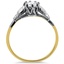 The Christelle Ring, smallside view