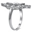 The Vibiana Ring, smallside view