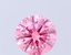 1.00 Ct. Fancy Vivid Pink Round Lab Grown Diamond
