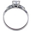 The Cardamom Ring, smallside view