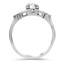 The Schraeder Ring, smallside view