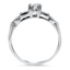 The Marti Ring, smallside view