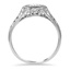 The Dorthy Ring, smallside view