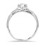 The Atiya Ring, smallside view