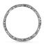 The Clearview Ring, smallside view