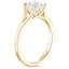 18K Yellow Gold Reverie Solitaire Ring, smallside view