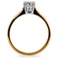 The Angelina Ring, smallside view