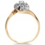 The Svana Ring, smallside view