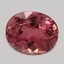 10.1x8.1mm  Pink  Oval   Tourmaline