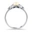 The Callisi Ring, smallside view