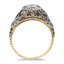 The Aurica Ring, smallside view