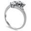 The Trillium Ring, smallside view