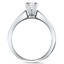 The Haley Ring, smallside view