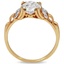 The Ayami Ring, smallside view