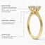 18K Yellow Gold Dawn 1.5mm Diamond Ring, smallinfographic