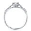 The Hesper Ring, smallside view