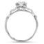 The Ramsay Ring, smallside view