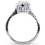 The Gwyneth Ring, smallside view