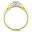 The Shayna Ring, smallside view