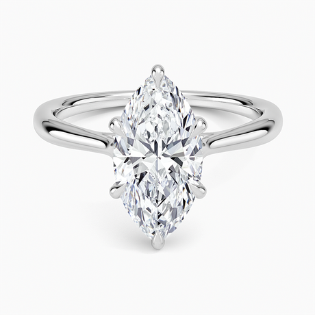 Platinum Freesia Cathedral Solitaire Ring