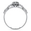 The Ashbury Ring, smallside view