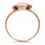 The Darina Ring, smallside view