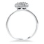 The Hermia Ring, smallside view