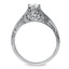 The Johanna Ring, smallside view
