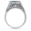 The Lorenza Ring, smallside view