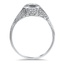 The Tamisha Ring, smallside view