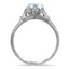 The Vinci Ring, smallside view